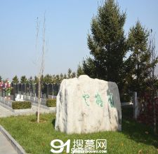 陵园风景图-16