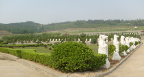 陵园风景图-2